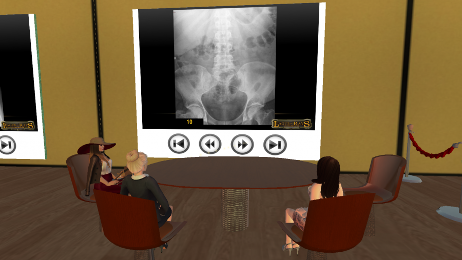 O certame desenvólvese na plataforma virtual Second Life O certame desenvólvese na plataforma virtual Second Life