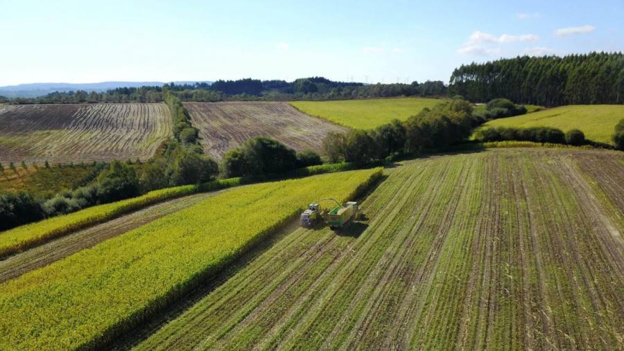 AGRIPEMAF é un dos proxectos colaborativos do Campus Terra