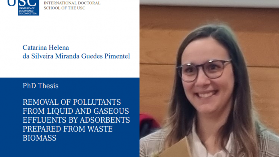 Defensa de la Tesis Doctoral de Catarina Helena Da Silveira Miranda Guedes Pimentel