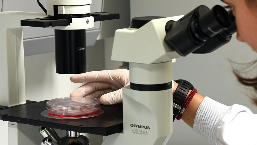 Imaxe de arquivo dun laboratorio da USC. FOTO: Santi Alvite Imaxe de arquivo dun laboratorio da USC. FOTO: Santi Alvite