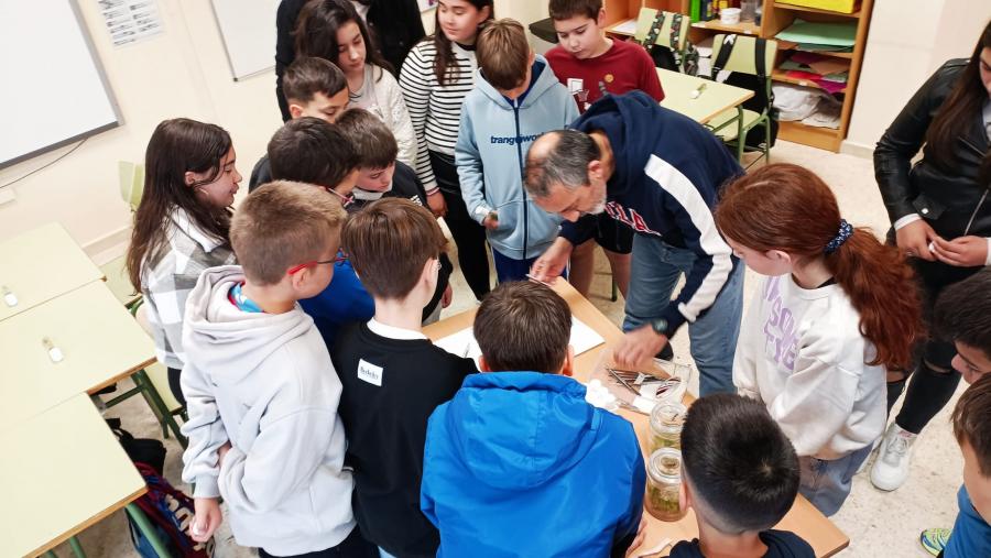 Obradoiro de ferramentas de produción vexetal con escolares, no CPI de Friol