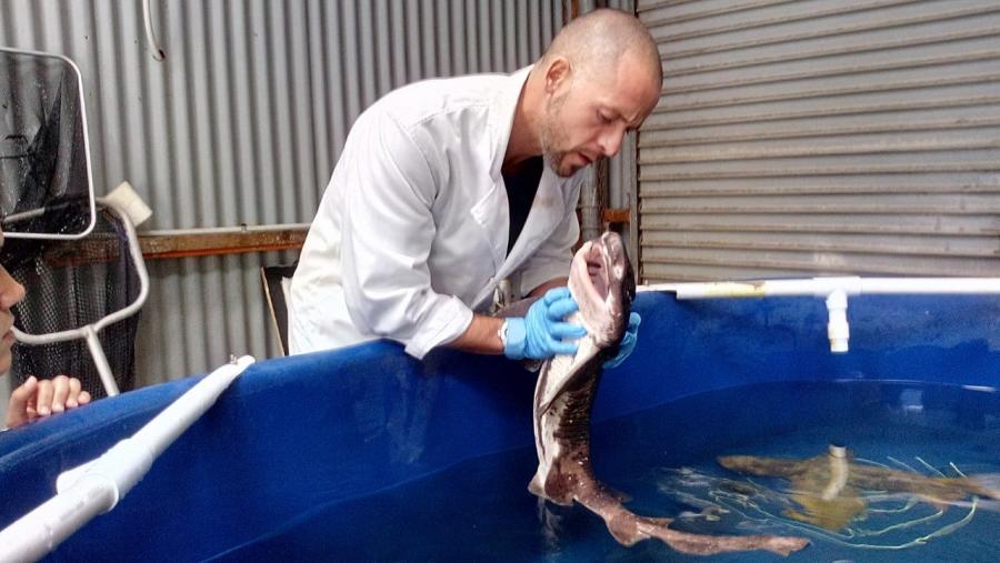 Roberto Bermúdez é profesor do grao en Veterinaria do Campus Terra