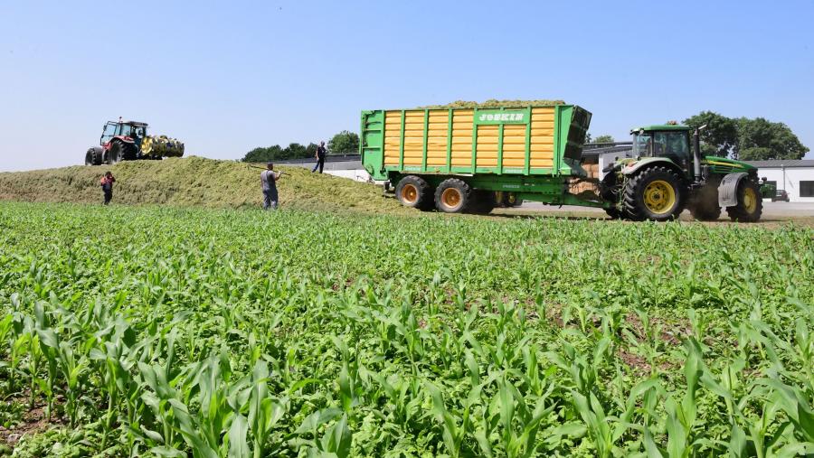En 2023, o sector primario (agricultura e pesca) tivo unha diminución menor en Galicia que no conxunto de España, cunha variación de -0,6% en Galicia e de -2,5% en España. FOTO: Santi Alvite En 2023, o sector primario (agricultura e pesca) tivo unha diminución menor en Galicia que no conxunto de España, cunha variación de -0,6% en Galicia e de -2,5% en España. FOTO: Santi Alvite