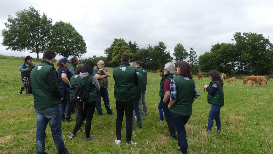 Imaxe de arquivo do equipo da profesora Mosquera mentres traballa nun sistema agroforestal Imaxe de arquivo do equipo da profesora Mosquera mentres traballa nun sistema agroforestal