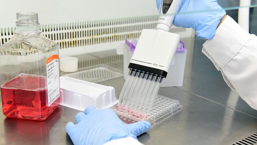 Imaxe duin laboratorio de Farmacia da USC. Foto. santi Alvite Imaxe duin laboratorio de Farmacia da USC. Foto. santi Alvite