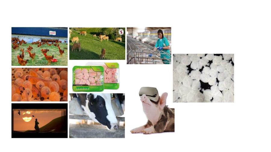 Programa de Formación Dual Estancias/Traballo Fin de Grao 2024-25 Convocatoria para a segunda quenda do Programa de formación dual Estancias/Traballo Fin de Grao para ao alumnado do Grao en Veterinaria