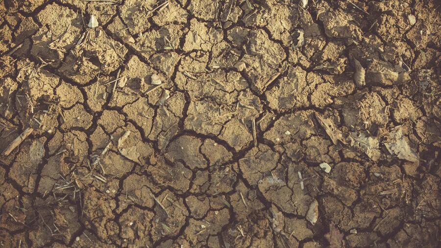 Segundo o estudo, o xornalismo podería ser unha peza chave na alfabetización climática da poboación. FOTO: Pexels Segundo o estudo, o xornalismo podería ser unha peza chave na alfabetización climática da poboación. FOTO: Pexels