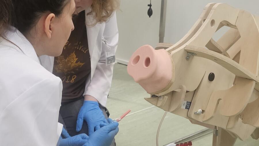 Unha estudante nunha sesión práctica en Veterinaria Unha estudante nunha sesión práctica en Veterinaria