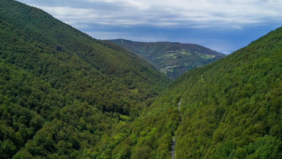 Os Ancares lucenses e montes de Navia, Cervantes e Becerreá. FOTO: https://patrimonionatural.xunta.gal/ Os Ancares lucenses e montes de Navia, Cervantes e Becerreá. FOTO: https://patrimonionatural.xunta.gal/
