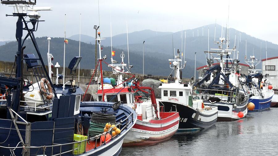 A pesca é un dos sectores analizados no informe. Foto: Santi Alvite A pesca é un dos sectores analizados no informe. Foto: Santi Alvite