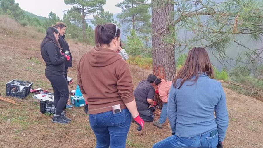 Estas actividades enmárcanse nun programa máis amplo de máis dunha ducia de cursos gratuítos que CARES desenvolve este outono en Galicia, Asturias e León, todos eles orientados a promover unha xestión forestal activa, sostible e xeradora de emprego local. FOTO: https://caresgestionforestal.com/ Estas actividades enmárcanse nun programa máis amplo de máis dunha ducia de cursos gratuítos que CARES desenvolve este outono en Galicia, Asturias e León, todos eles orientados a promover unha xestión forestal activa, sostible e xeradora de emprego local. FOTO: https://caresgestionforestal.com/