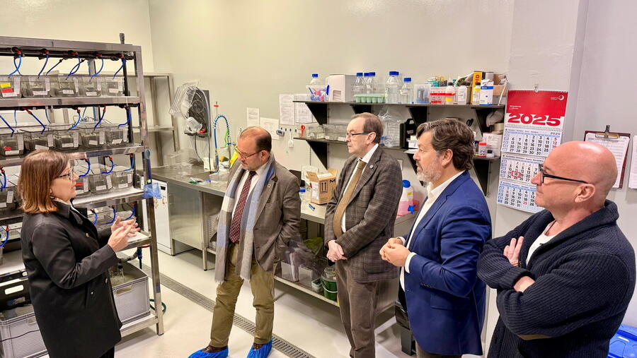 De esquerda a dereita, Laura Sánchez Piñón, Antonio López Díaz, José Alberto Díez de Castro, Javier Ferreira e Antonio González Cantalapiedra. 