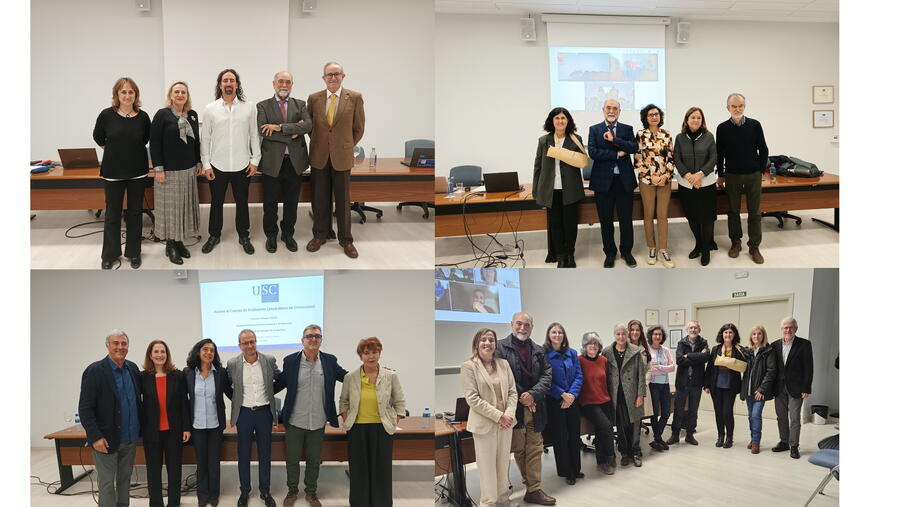 Acceso á catedra de membros dos IPsiUS