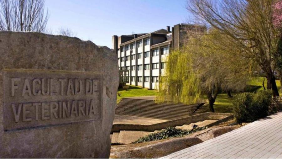 Investigadores da USC están a avaliar os riscos para a saúde humana de toxinas mariñas propias das augas temperadas e tropicais presentes nas costas europeas Investigadores da USC están a avaliar os riscos para a saúde humana de toxinas mariñas propias das augas temperadas e tropicais presentes nas costas europeas