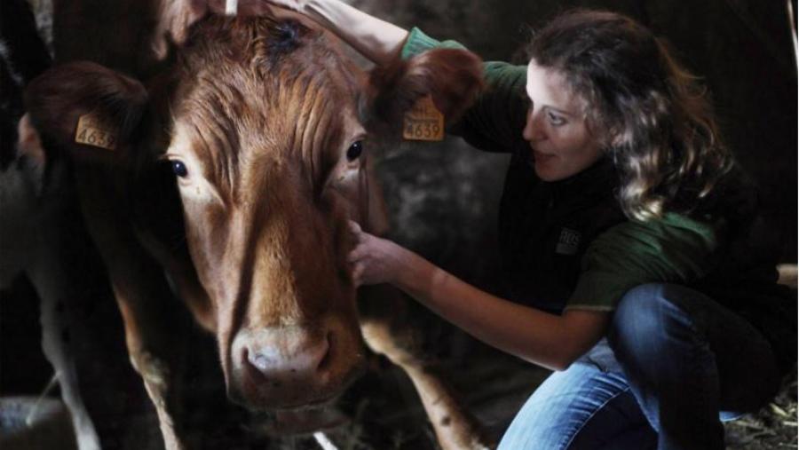 'Vacina', de Marcos Fernández Blanco, é a imaxe gañadora do segundo Certame 'Ruth Matilda Anderson' 'Vacina', de Marcos Fernández Blanco, é a imaxe gañadora do segundo Certame 'Ruth Matilda Anderson'
