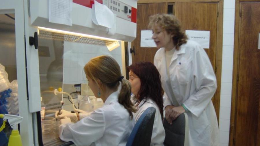 Woman Emprende anima a crear unha rede de traballo entre mulleres de diferentes ámbitos profesionais Woman Emprende anima a crear unha rede de traballo entre mulleres de diferentes ámbitos profesionais