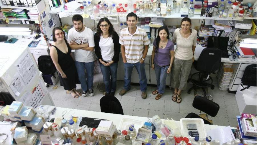 Membros do grupo de investigación Metabolismo Molecular, entre os que se atopan Rubén Nogueiras (cuarto pola esquerda) e Amparo Romero-Picó (primeira pola dereita) Membros do grupo de investigación Metabolismo Molecular, entre os que se atopan Rubén Nogueiras (cuarto pola esquerda) e Amparo Romero-Picó (primeira pola dereita)