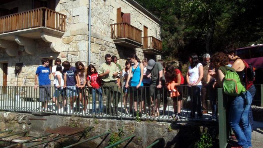 A primeira sesión destas xornadas celebrouse o pasado día 23 no río Ulla A primeira sesión destas xornadas celebrouse o pasado día 23 no río Ulla