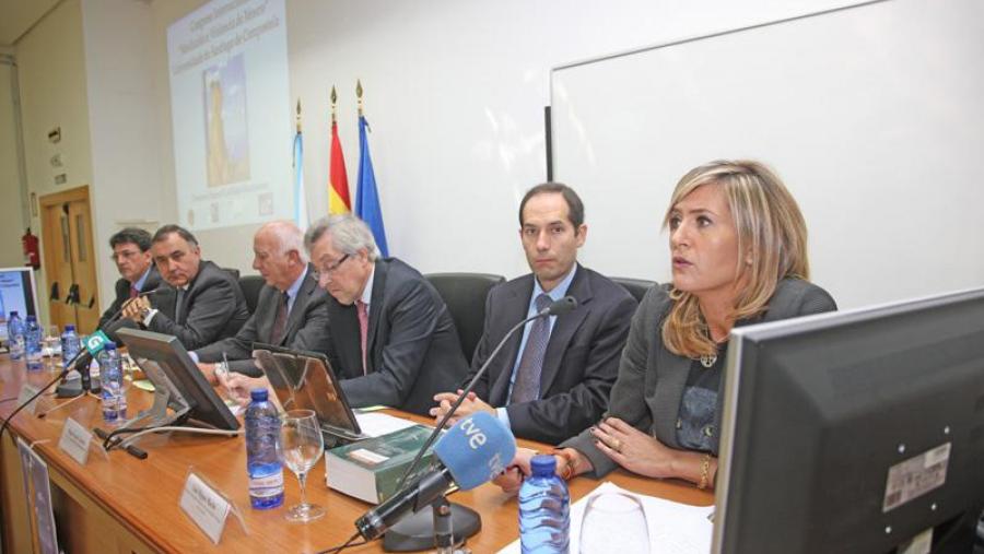 A catedrática Raquel Castillejo, en primeiro plano, dirixe este encontro internacional. Foto: Alfonso-Servimav A catedrática Raquel Castillejo, en primeiro plano, dirixe este encontro internacional. Foto: Alfonso-Servimav