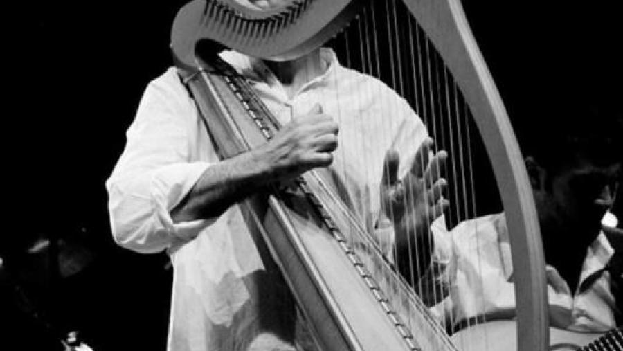 Rodrigo Romaní coa súa arpa Rodrigo Romaní coa súa arpa