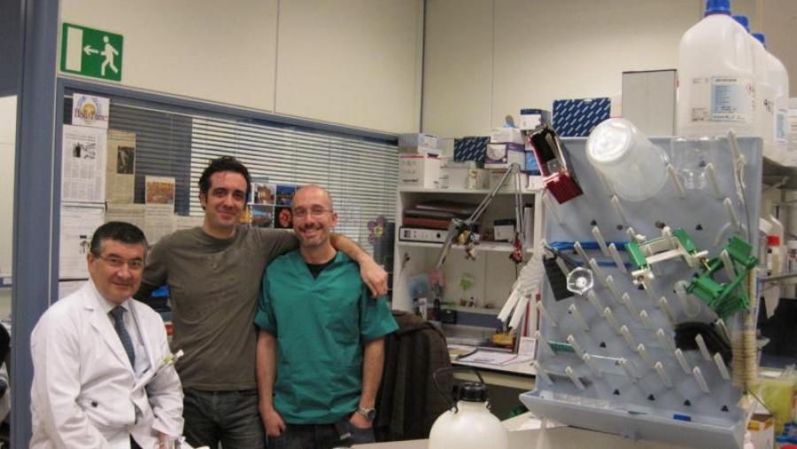 Patentan un novo sistema para o control das células tumorais circulantes, causantes do cancro metastásico Patentan un novo sistema para o control das células tumorais circulantes, causantes do cancro metastásico