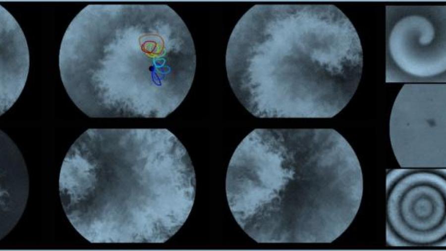 Detalle das estruturas obtidas nos experimentos a unha escala entre 10 e 50 veces maior que es estruturas equivalentes en sistemas sen turbulencia Detalle das estruturas obtidas nos experimentos a unha escala entre 10 e 50 veces maior que es estruturas equivalentes en sistemas sen turbulencia