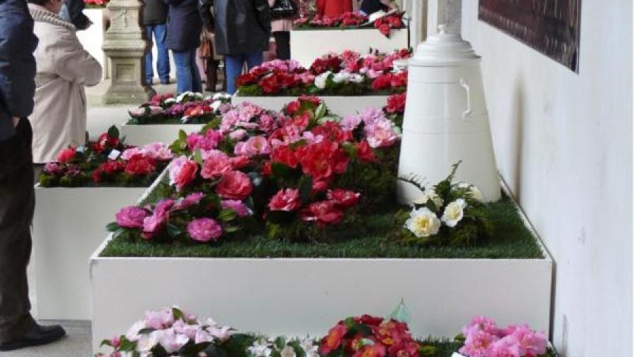 Fonseca xa ten acollido en anos anteriores unha exposición similar a dos días 29 e 30 Fonseca xa ten acollido en anos anteriores unha exposición similar a dos días 29 e 30
