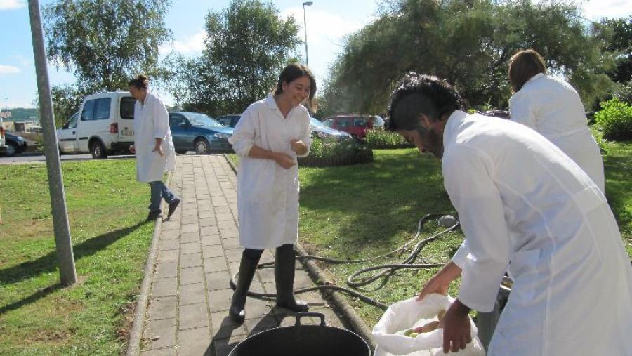Alumnos da EPS durante a preparación das mazás para a elaboración de sidra Alumnos da EPS durante a preparación das mazás para a elaboración de sidra