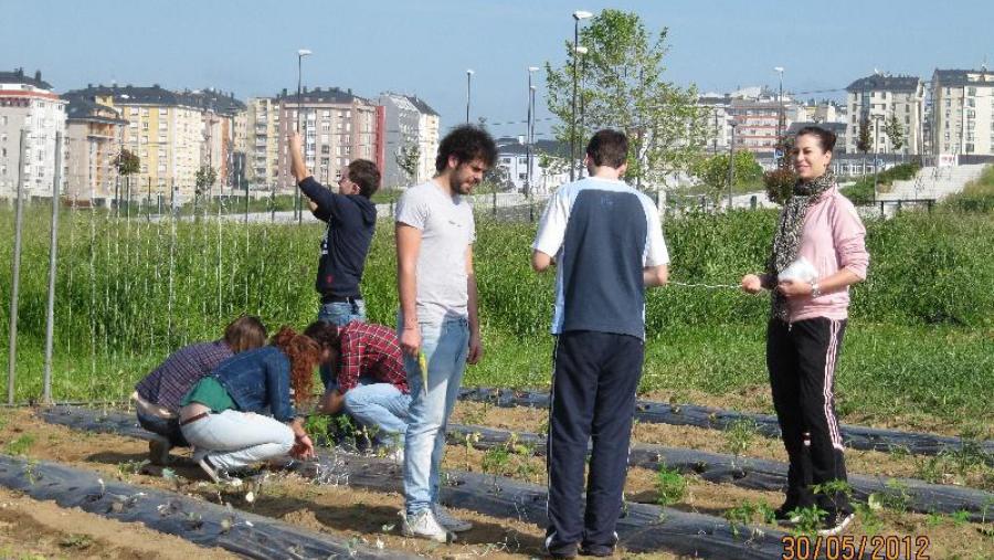 Alumnos nunha plantación na finca de prácticas da EPS do campus de Lugo Alumnos nunha plantación na finca de prácticas da EPS do campus de Lugo