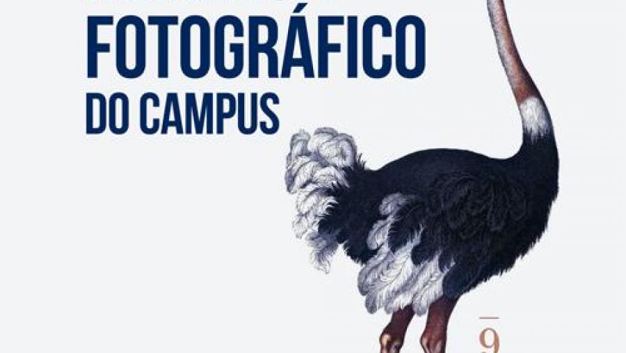 Cartaz anunciador do XIX Maratón Fotográfico do campus Cartaz anunciador do XIX Maratón Fotográfico do campus