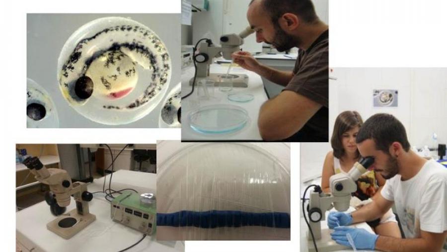 Investigadores e imaxes do proxecto Investigadores e imaxes do proxecto