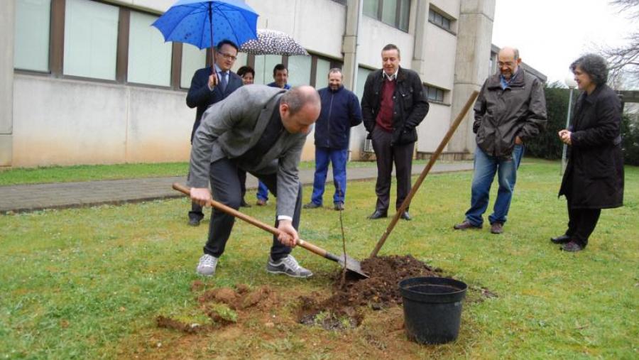 Elia Terzi planta un serbal dos cazadores nun xardín interior da Escola Politécnica Superior Elia Terzi planta un serbal dos cazadores nun xardín interior da Escola Politécnica Superior