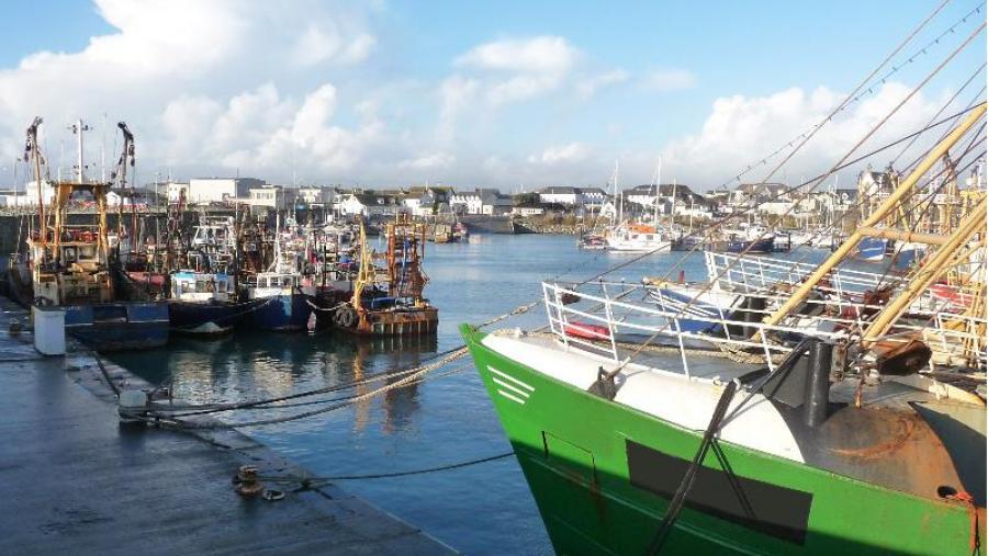A USC coordina un proxecto que avalía o impacto da prohibición de descartes sobre a pesca artesanal na Unión Europea A USC coordina un proxecto que avalía o impacto da prohibición de descartes sobre a pesca artesanal na Unión Europea