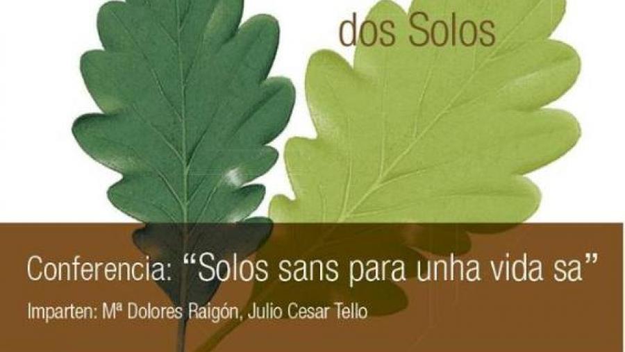 Cartaz do Ano Internacional dos Solos Cartaz do Ano Internacional dos Solos