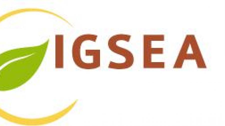 Logo da Rede Igsea Logo da Rede Igsea