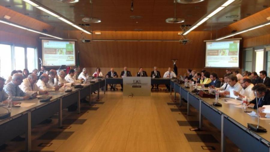 A decisión foi adoptada na asemblea xeral da CRUE celebrada este luns. Foto: CRUE A decisión foi adoptada na asemblea xeral da CRUE celebrada este luns. Foto: CRUE