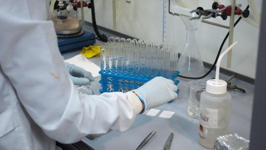A USC no posto 374 do mundo por produtividade científica, segundo o ránking NTU A USC no posto 374 do mundo por produtividade científica, segundo o ránking NTU