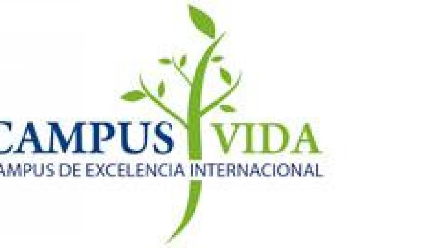 A USC, entre as universidades que máis fondos captan da convocatoria de axudas para a consolidación de proxectos de excelencia A USC, entre as universidades que máis fondos captan da convocatoria de axudas para a consolidación de proxectos de excelencia