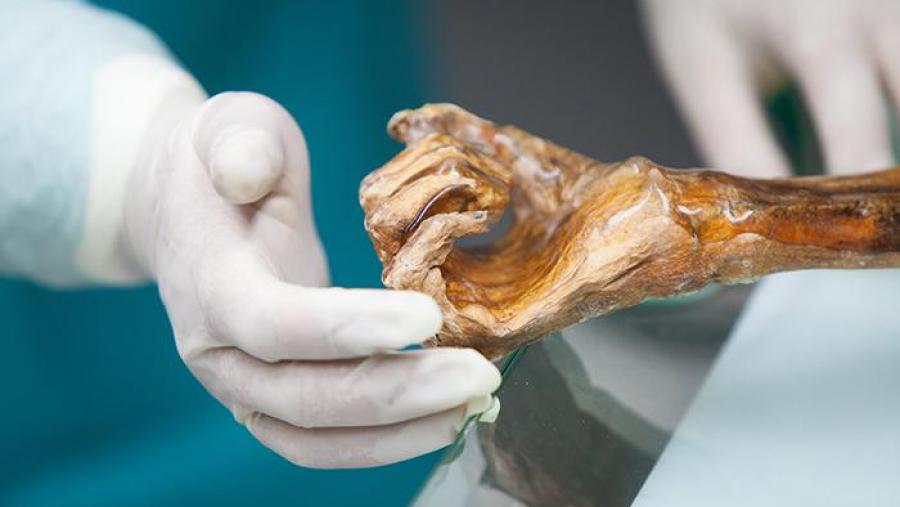 Os novos datos son froito dunha colaboración internacional. Foto: Istituto per le mummie e l'Iceman / Eurac Os novos datos son froito dunha colaboración internacional. Foto: Istituto per le mummie e l'Iceman / Eurac