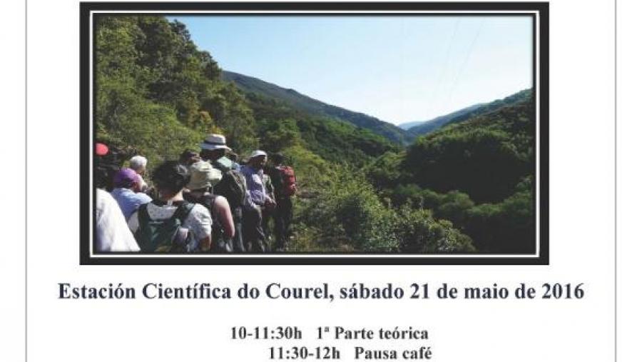Cartaz do curso Cartaz do curso