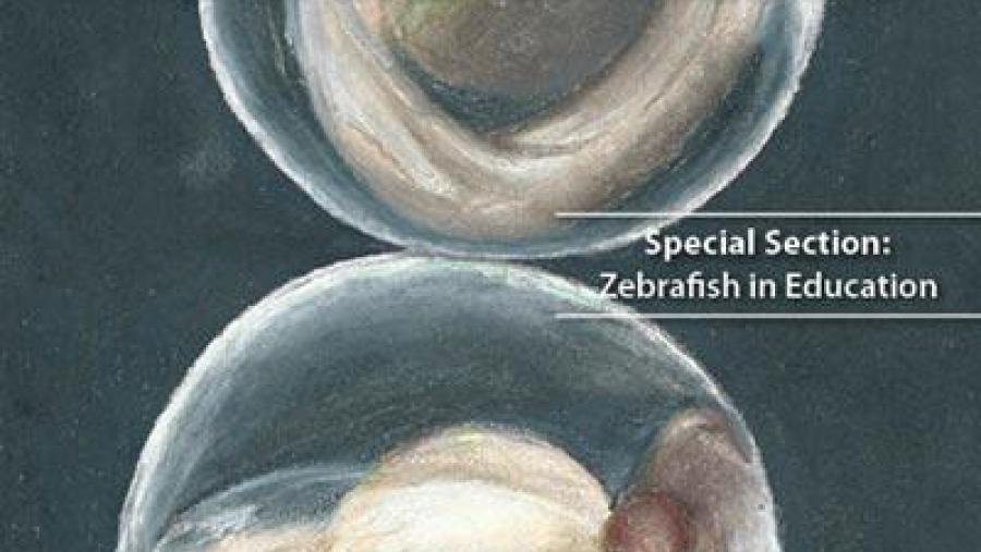 Portada da revista Zebrafish Portada da revista Zebrafish