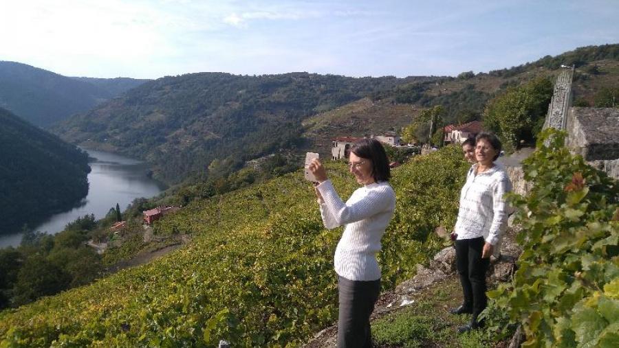 Cristina Cabaleiro, entre outras dúas investigadoras do proxecto Pathogen, na Ribeira Sacra Cristina Cabaleiro, entre outras dúas investigadoras do proxecto Pathogen, na Ribeira Sacra