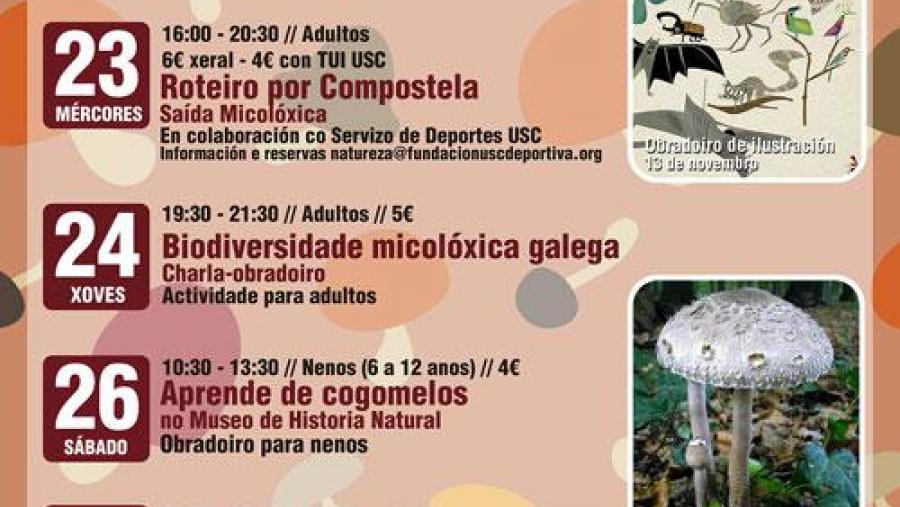 A micoloxía, eixo das actividades deste mes do Museo de Historia Natural da USC A micoloxía, eixo das actividades deste mes do Museo de Historia Natural da USC