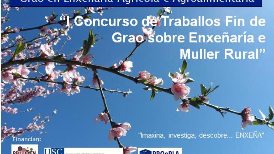 Cartaz do concurso Cartaz do concurso
