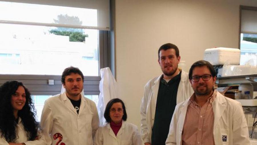 Antón Barreiro (á esquerda) con parte do equipo de investigación da USC Antón Barreiro (á esquerda) con parte do equipo de investigación da USC