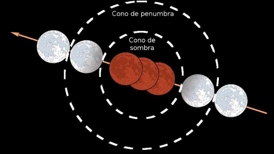 Simulación da eclipse do día 27 tal e como se verá, coas seccións dos conos cortados por un plano perpendicular aos seus eixos Simulación da eclipse do día 27 tal e como se verá, coas seccións dos conos cortados por un plano perpendicular aos seus eixos