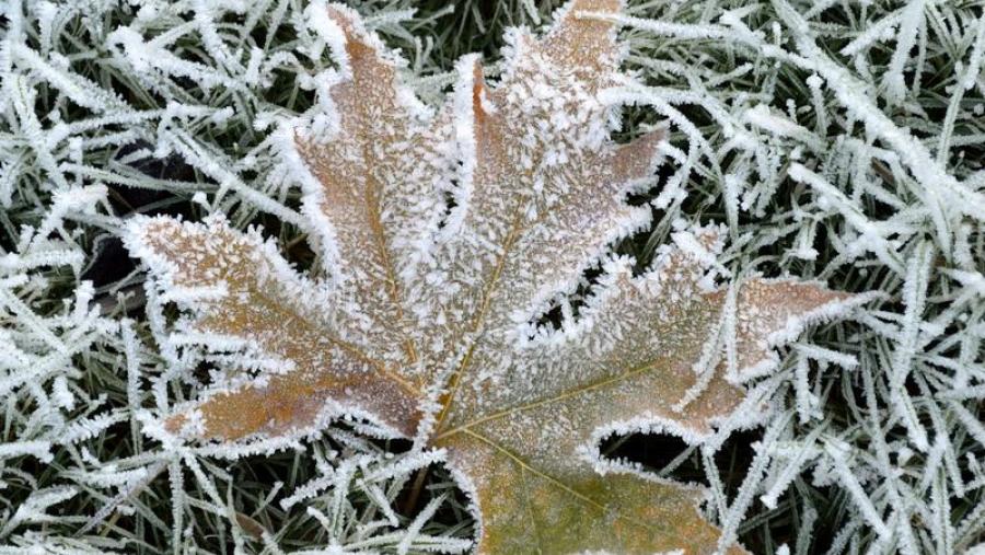 O inverno comeza na noite do venres O inverno comeza na noite do venres