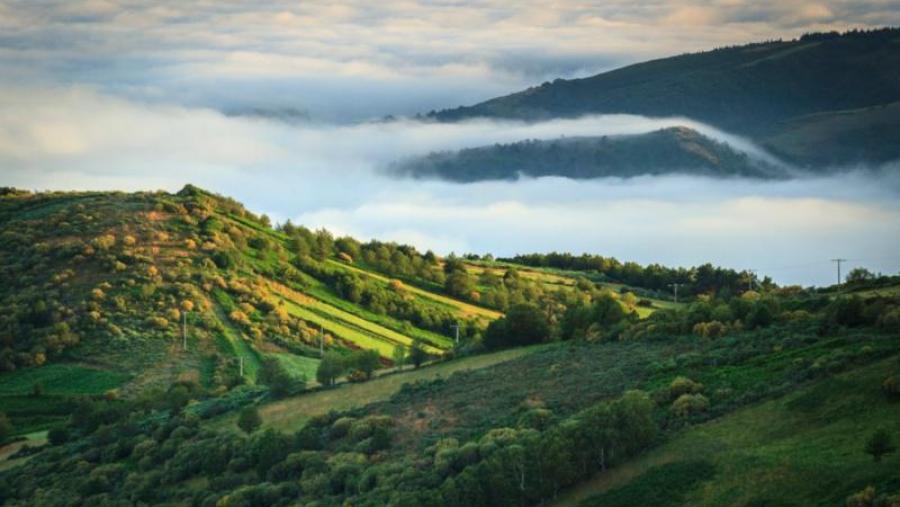 Investigadores da USC e a spin off 3edata desenvolverán un sistema de xestión e control forestal a partir de datos captados por drones Investigadores da USC e a spin off 3edata desenvolverán un sistema de xestión e control forestal a partir de datos captados por drones