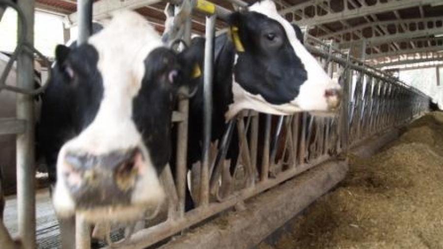 A EPS de Enxeñaría da USC e o Ligal lanzan a sexta edición do Máster en Produción de Leite, para o que se ofrecen 12 prazas A EPS de Enxeñaría da USC e o Ligal lanzan a sexta edición do Máster en Produción de Leite, para o que se ofrecen 12 prazas