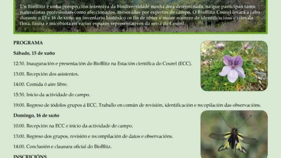 Cartaz do II Bioblitz Ancares-Courel Cartaz do II Bioblitz Ancares-Courel